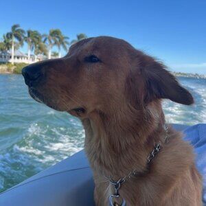 Meet your Posher, Annie